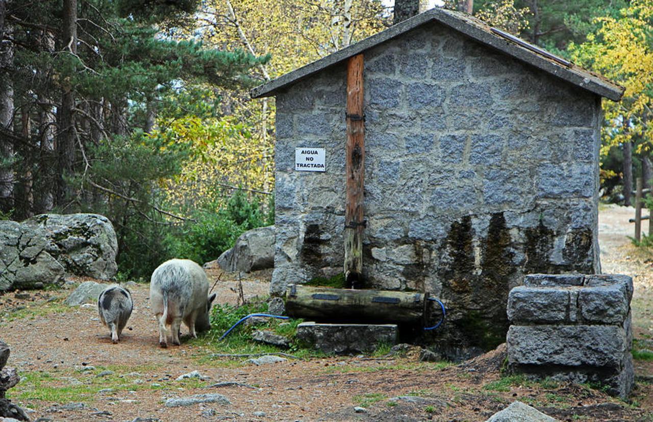 Hotel Camp Del Serrat Les Escaldes Εξωτερικό φωτογραφία